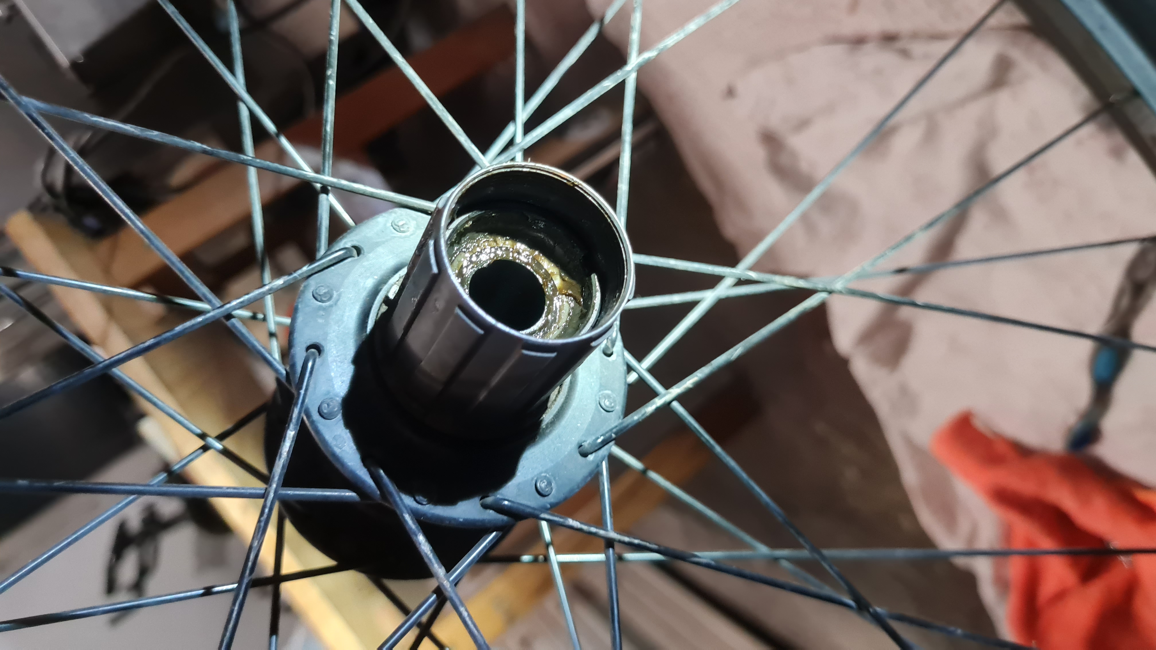 Piasta w trakcie przeglądu ✨